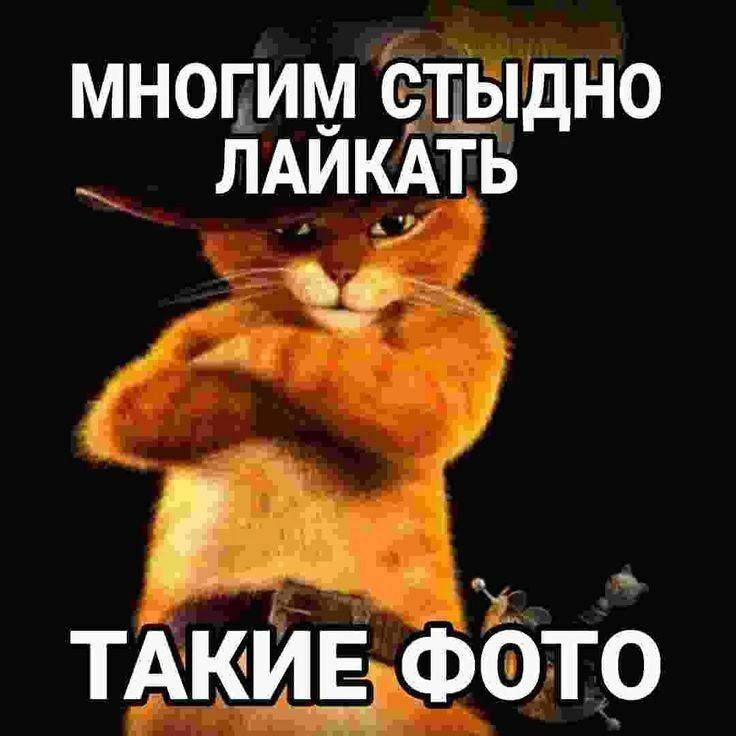 научите меня красить красиво ***🐹*** правда, …