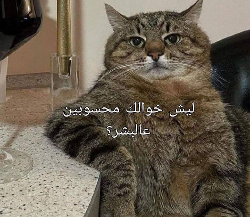 ابوك بكل گعده: