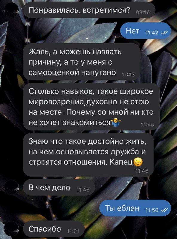 [Клара вещает](https://t.me/i_am_clara)***🧐***