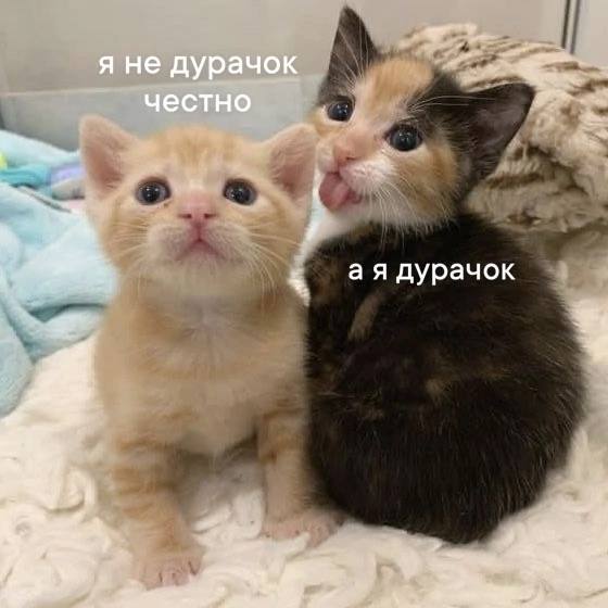 [Клара вещает](https://t.me/i_am_clara)***🧐***