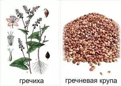 Я, Папуля и Мамуля