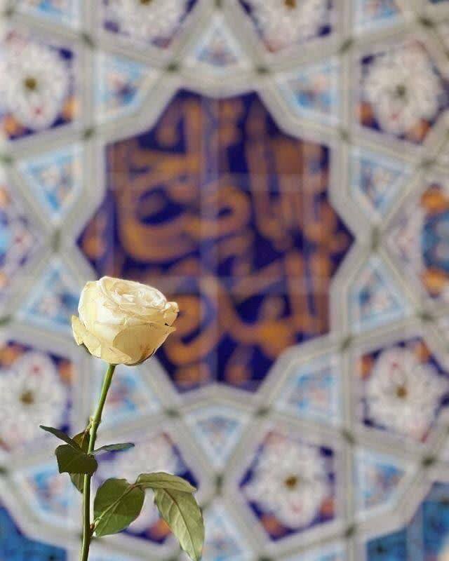 یا ابا صالح المهدی ادرکنی