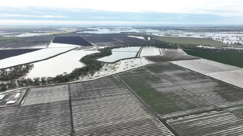 [Australia](https://www.abc.net.au/news/rural/2022-10-24/crop-flood-damage-estimates-north-west-nsw/101569484): **flooding damages $150 million of wheat alone in NSW**Agronomists say the grain-growing hub of the north-west is expected to …