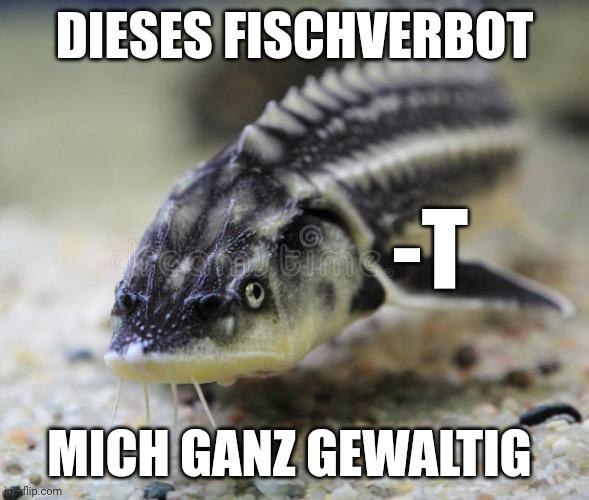 Ich***🐟***iel