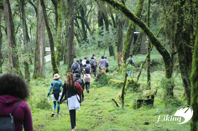 Iconic Hiking Ethiopia