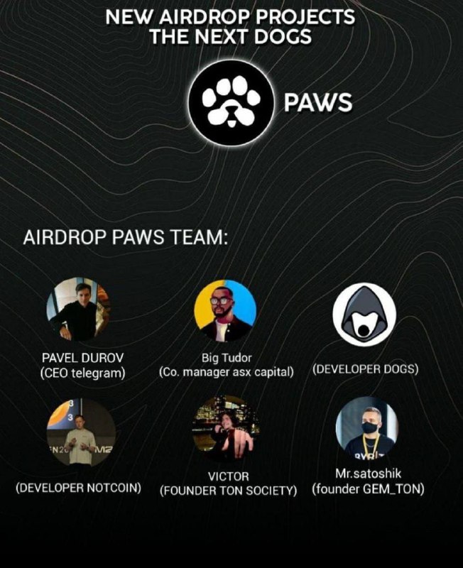 Next dogs :