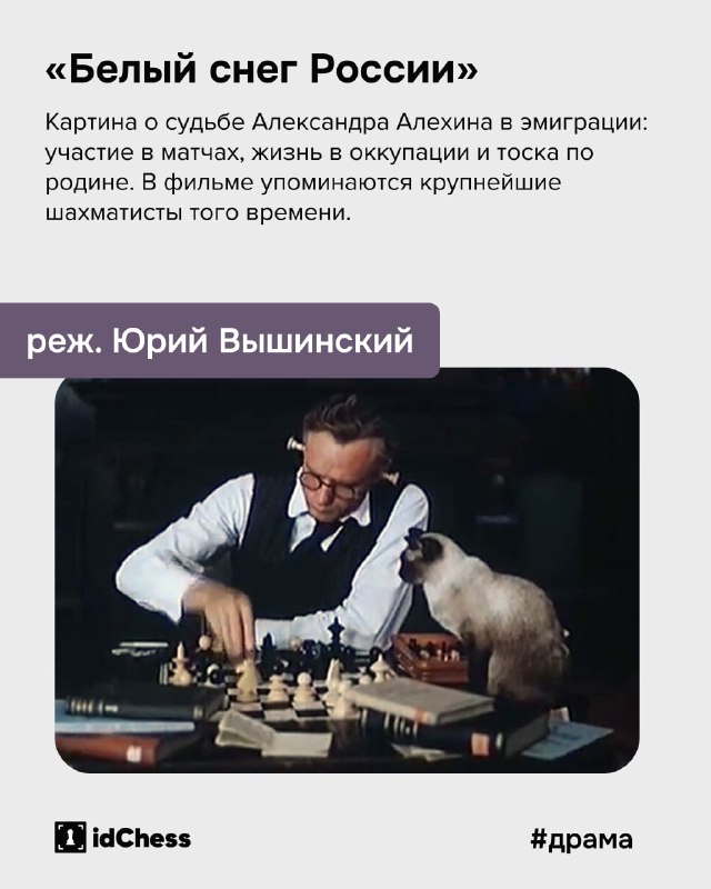 Шахматы с idChess