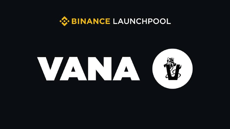 Bang Vana jepe engga? Listing Binen