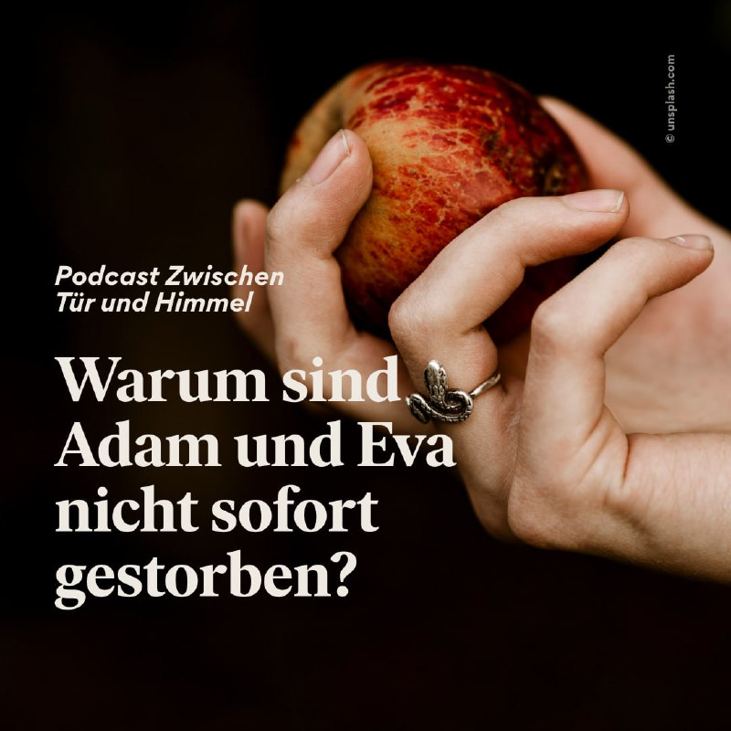 ***?*** Über den Baum der Erkenntnis …