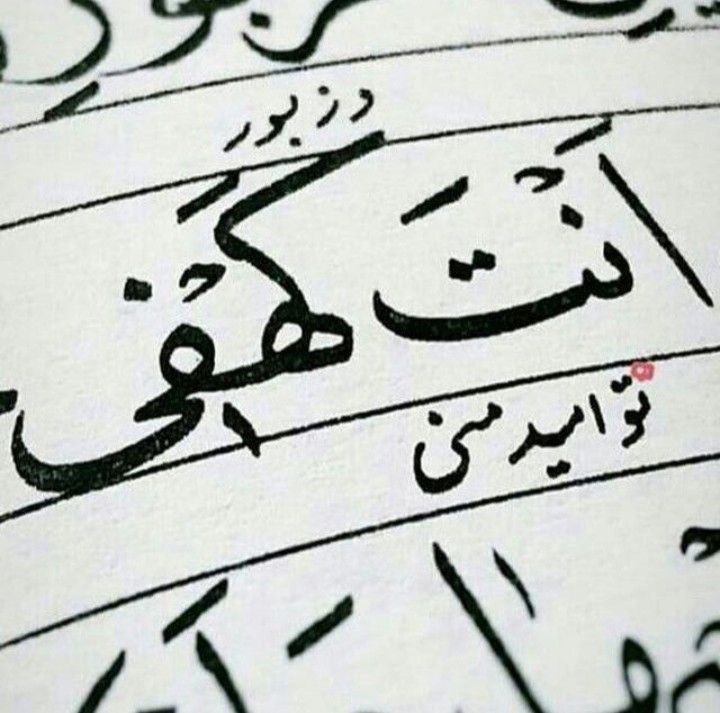 انتخاب: [#حدیث\_ابویی](?q=%23%D8%AD%D8%AF%DB%8C%D8%AB_%D8%A7%D8%A8%D9%88%DB%8C%DB%8C)