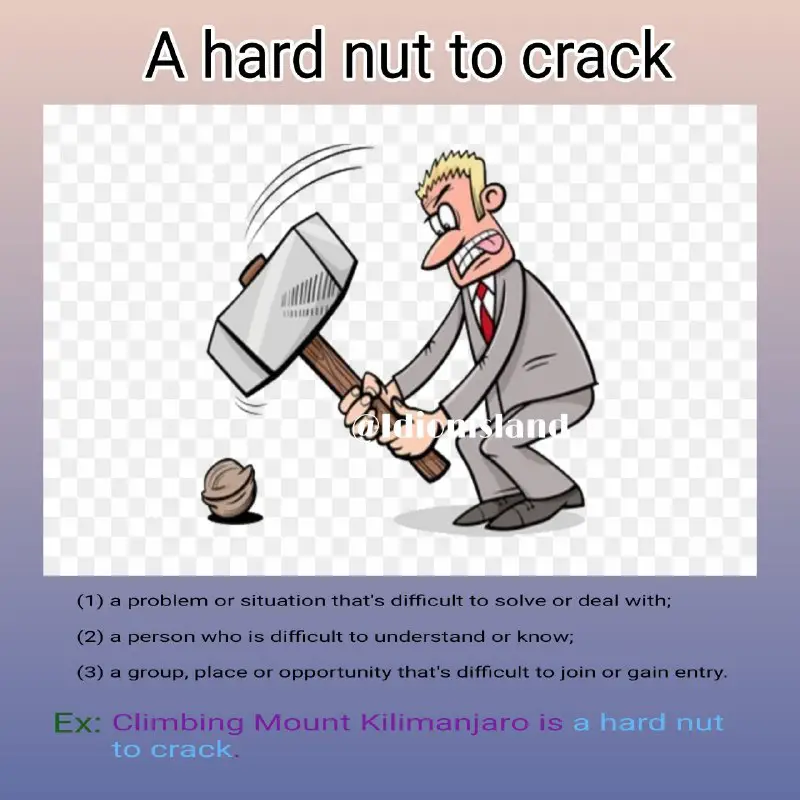 ***📔*** **A hard nut to crack**
