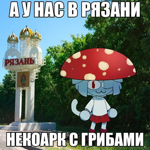 i don't even know the words