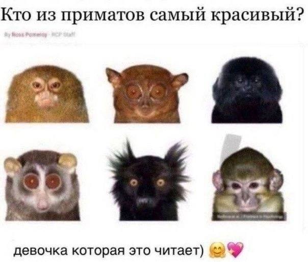 i don't even know the words