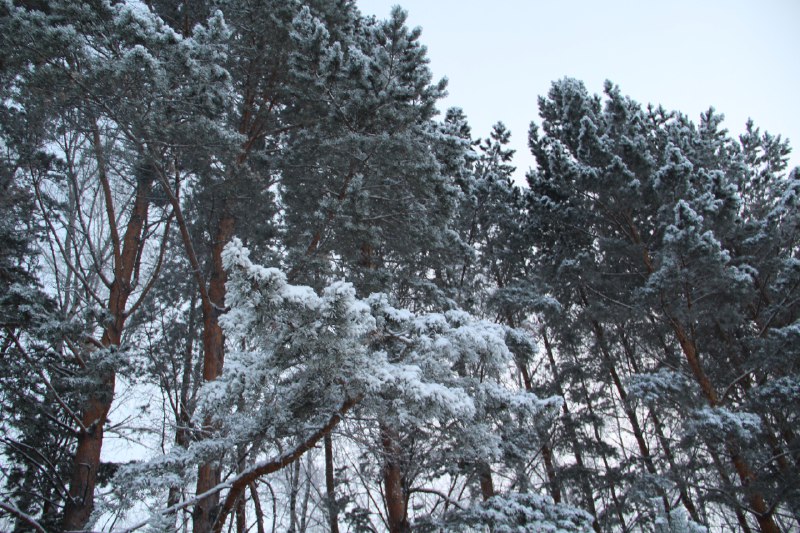 Прогноз погоды на 28 декабря***❄️***