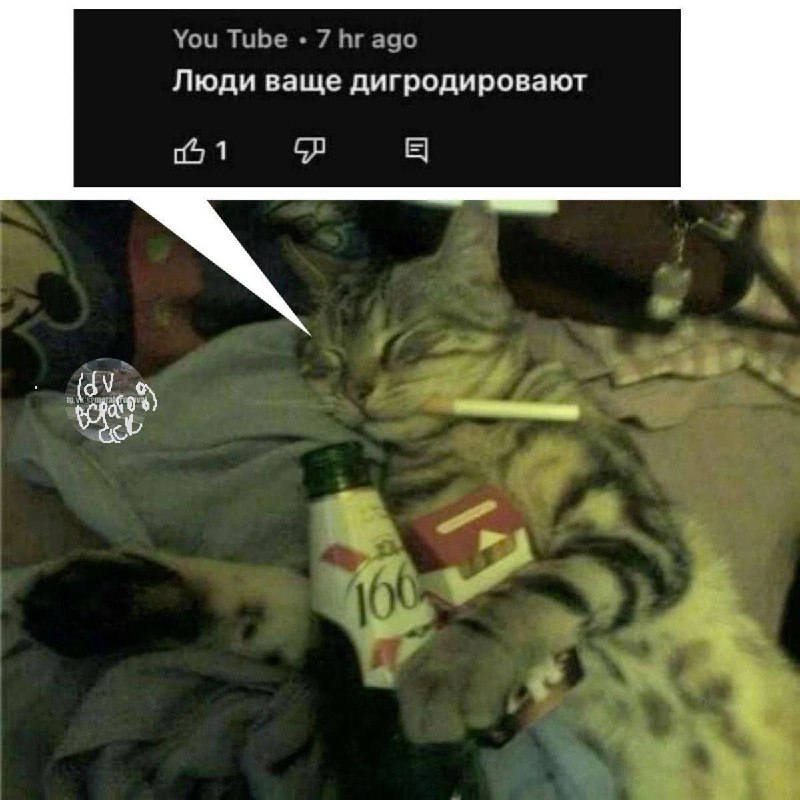 ВСРАТОАСК ИДЕН ТИТИ 18+