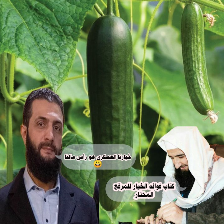 الخيار العسكري