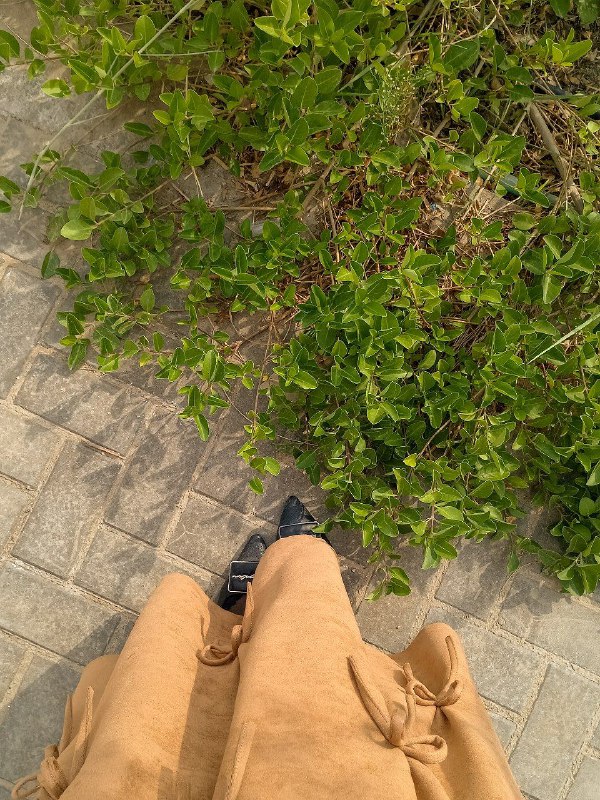 صِفا .