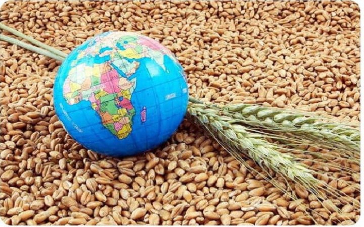 کشاورزی هوشمند، کلید نجات چالش‌های امنیت …