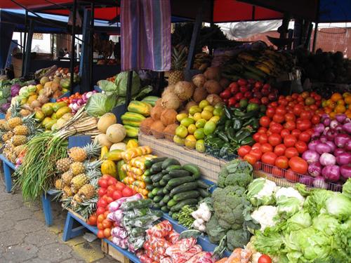 کاهش تولید کیوی عامل اصلی نوسان …