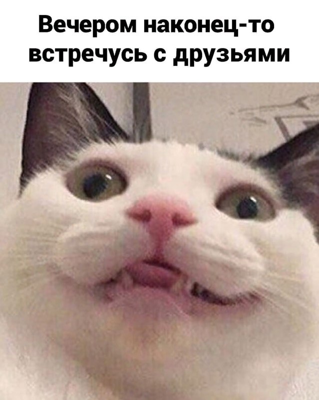 ЯЖЕКОТ