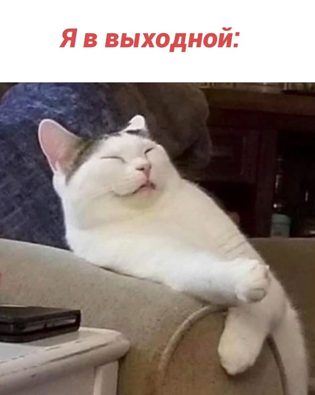 ЯЖЕКОТ