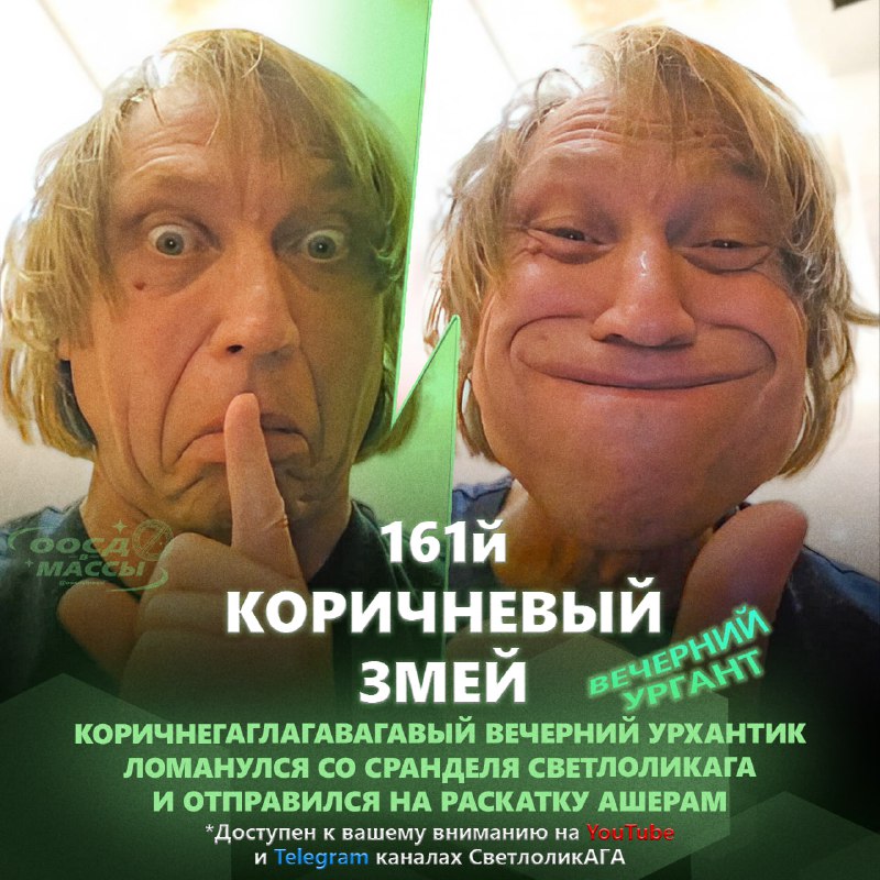 ***🐍*** **161** **КОРИЧНЕВЫЙ ЗМЕЙ** ***🐍***