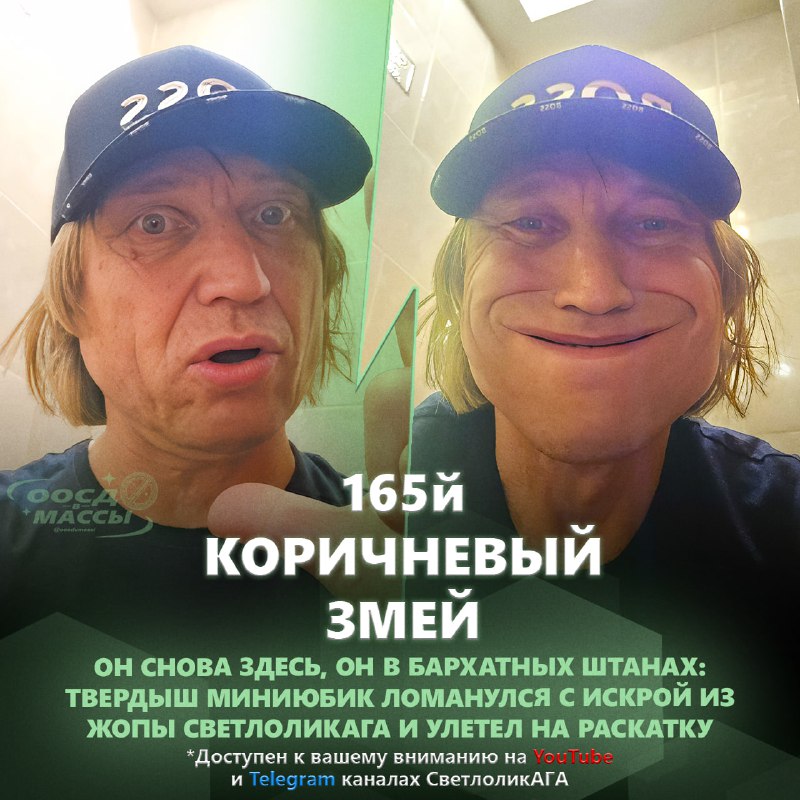 ***🐍*** **165 КОРИЧНЕВЫЙ ЗМЕЙ** ***🐍***