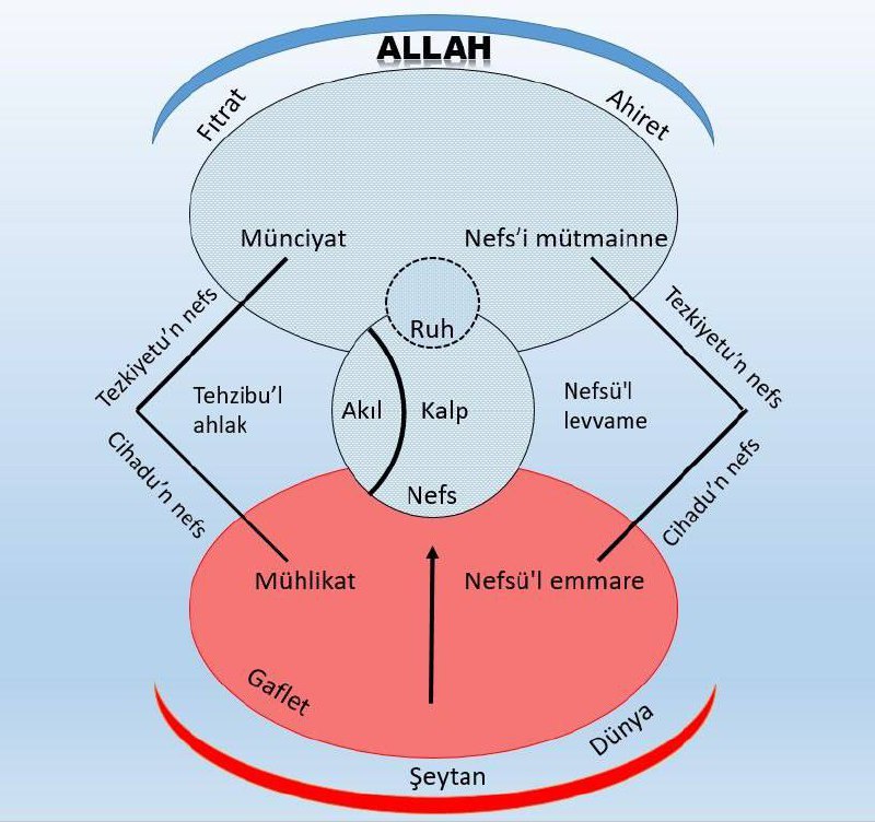 إخوان المسلمين