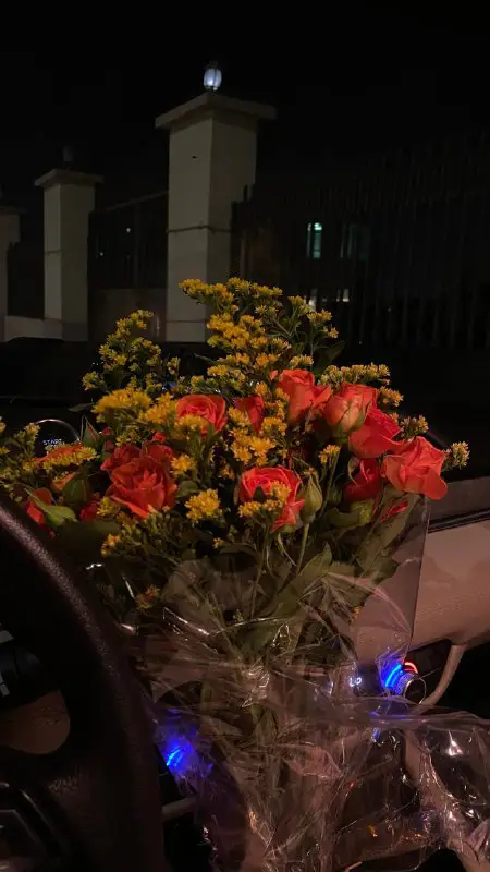 مـهـدي إلشـهـري .