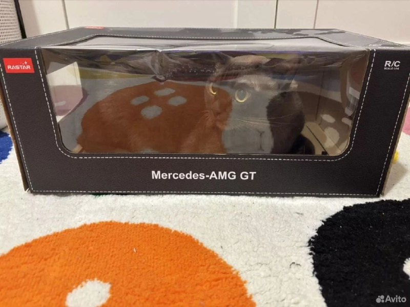 ❄️Penza ošoń vireń ēricäń vejsēndävks❄️