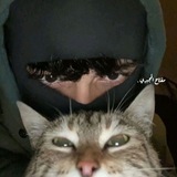 [**• توجيه نوجه منكم ***?*****](https://t.me/I4_y4).