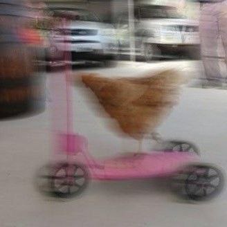عجز