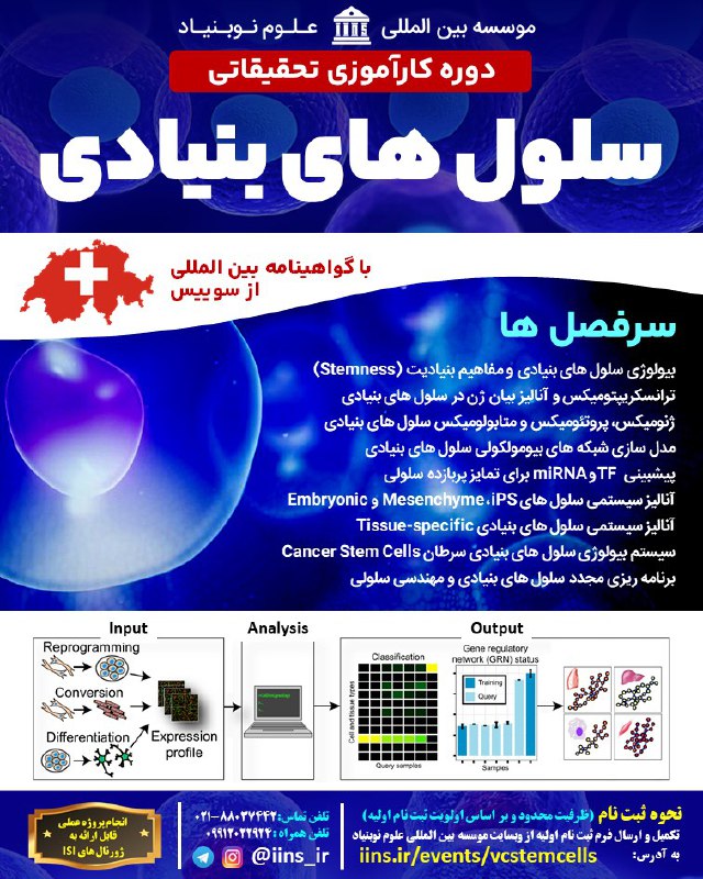 دوره کارآموزی سلول های بنیادی