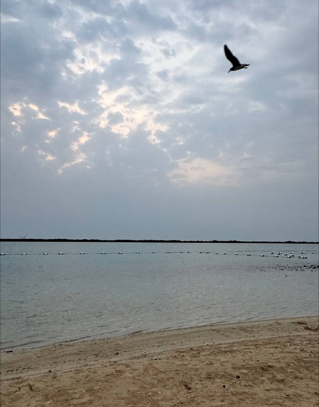 ايار ♡︎ ..