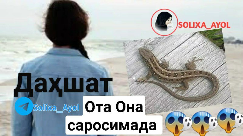 ***😰*** **ДАХШАТ КАЛТАКЕСАК, НОМУССИЗ ҚИЗ БЎЛИШГА …