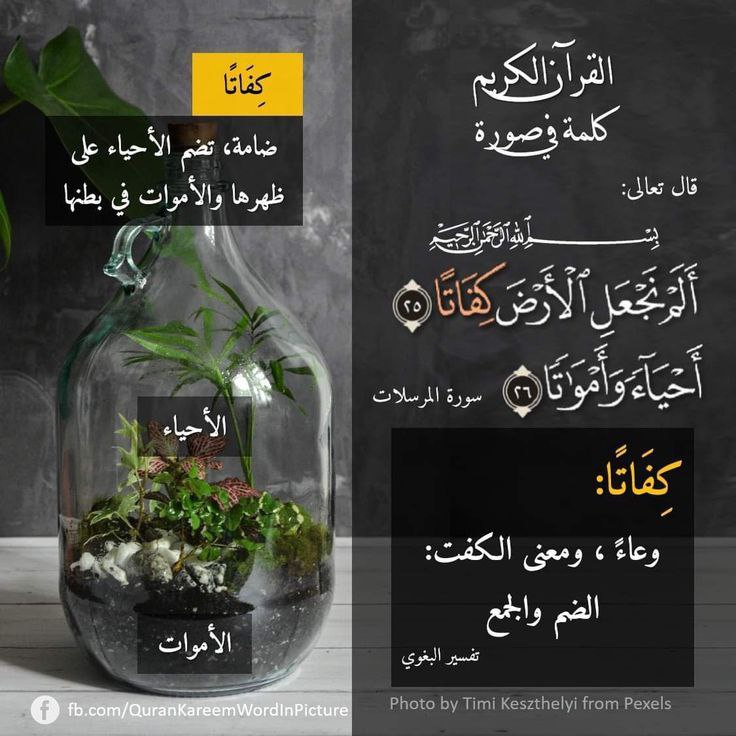 اقْرَأْ وَارْتَقِ وَرَتِّلْ