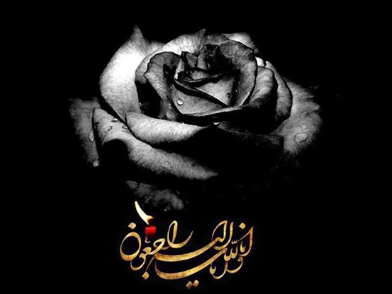 ***⚫️***پیام تسلیت مدیرکل فرهنگ و ارشاد …