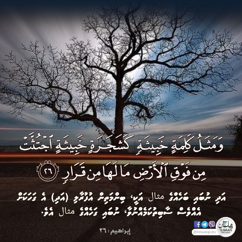 [#quran](?q=%23quran) [#ayah](?q=%23ayah) [#reminder](?q=%23reminder)