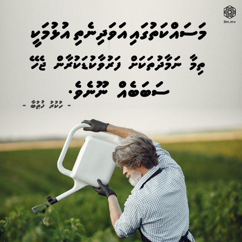 މަސައްކަތުގައި އަވަދިނެތި އުޅުމަކީ ތިމާ ނަމާދުތަކަށް ފަރުވާކުޑަކުރާން …