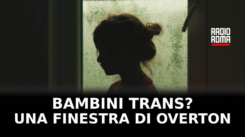 **Finestre di Overton fatte bene? La …