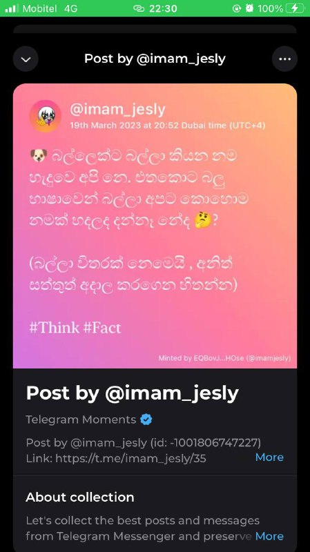 අලුත් **NFT** එකක් mint කරගත්තා***🤑***. මේකෙ …