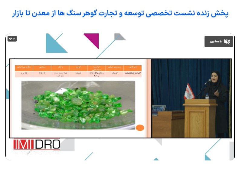 *****♦️***برگزاری پنل تخصصی «توسعه گوهرسنگ از …