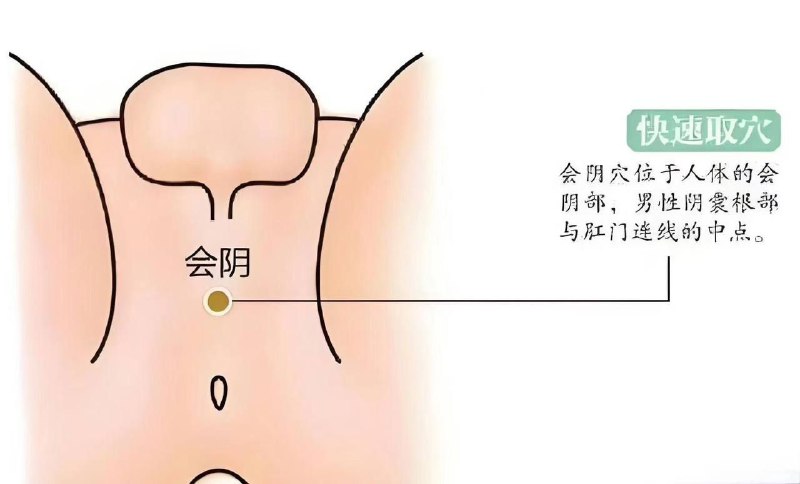 男性功能不行，常按会阴穴 ***‼️***