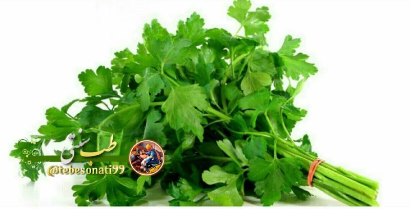 سبزی جعفری خطر ابتلا به سکته …