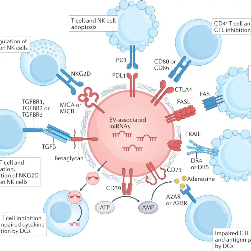 ImmunologyToday