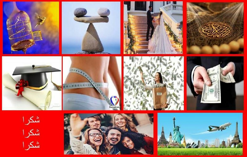دورة سحر الامتنان المجانية /د.ندى