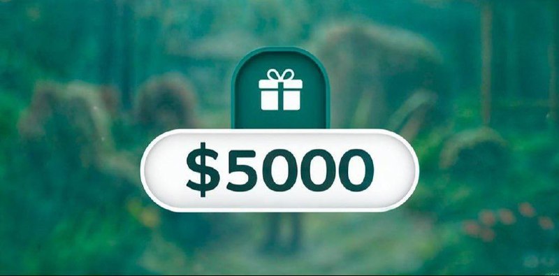 **Zoo $5,000 Giveaway***😱***