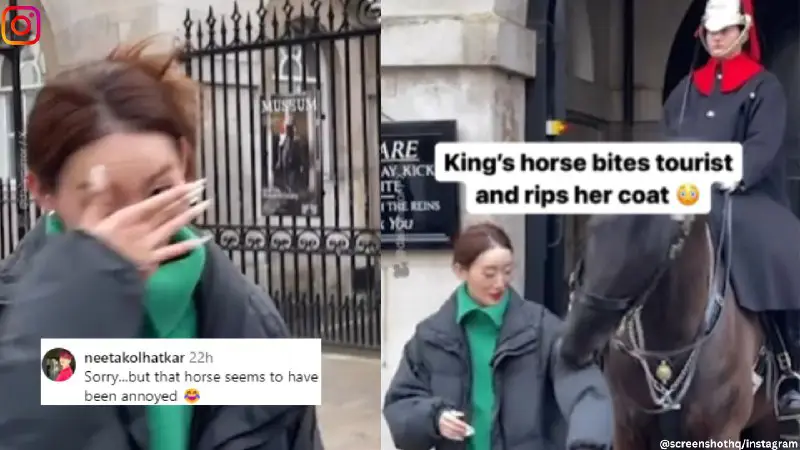 **Watch: King’s guard horse bites woman’s coat in Central London, leaves her startled**