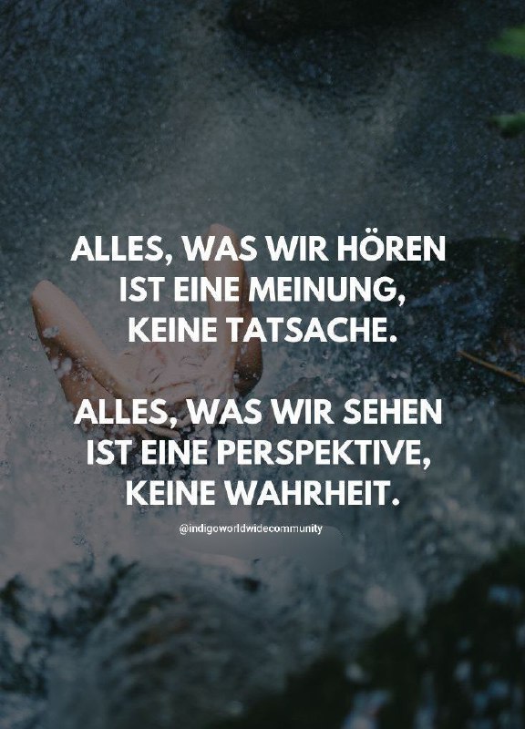 Die Kraft der Perspektive. Lass dich …