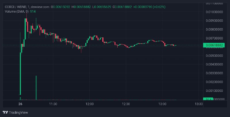 $CORGI Update Chart